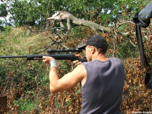 VI. kolo siluetovej stre�by