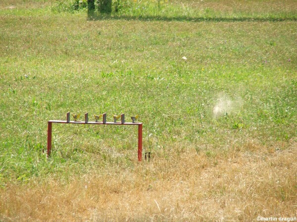 VI. kolo siluetovej stre�by