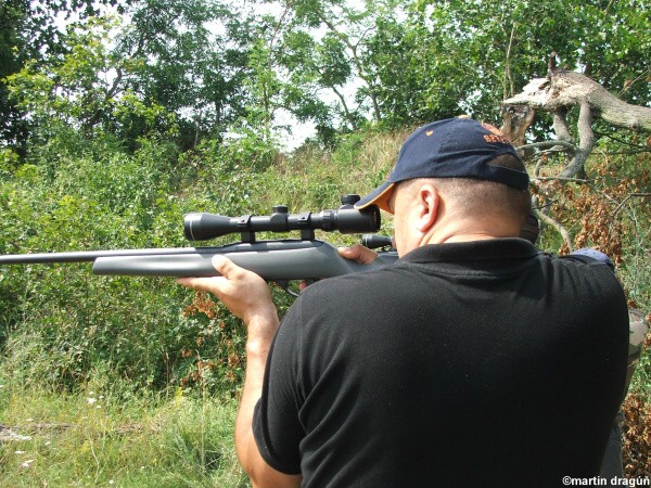 VI. kolo siluetovej stre�by