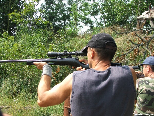 VI. kolo siluetovej stre�by