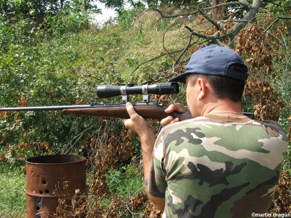 VI. kolo siluetovej stre�by