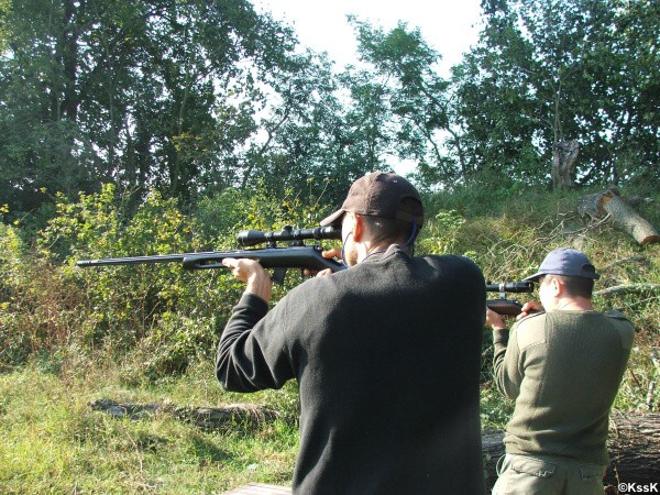 VIII. kolo siluetovej ligy