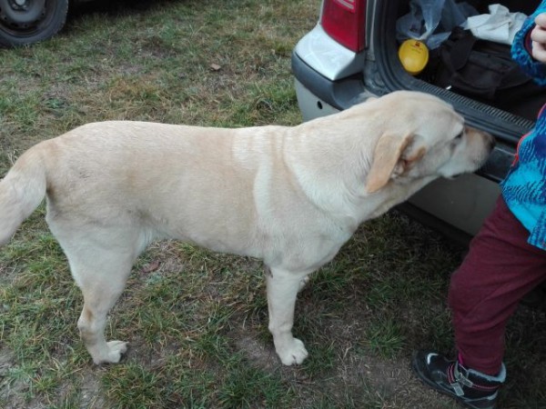 9. kolo siluetovej ligy 2018